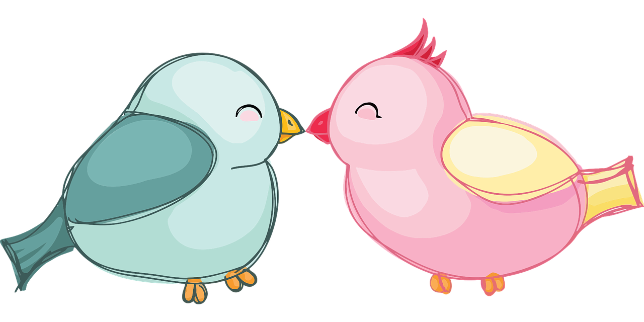 lovebirds, birds, love